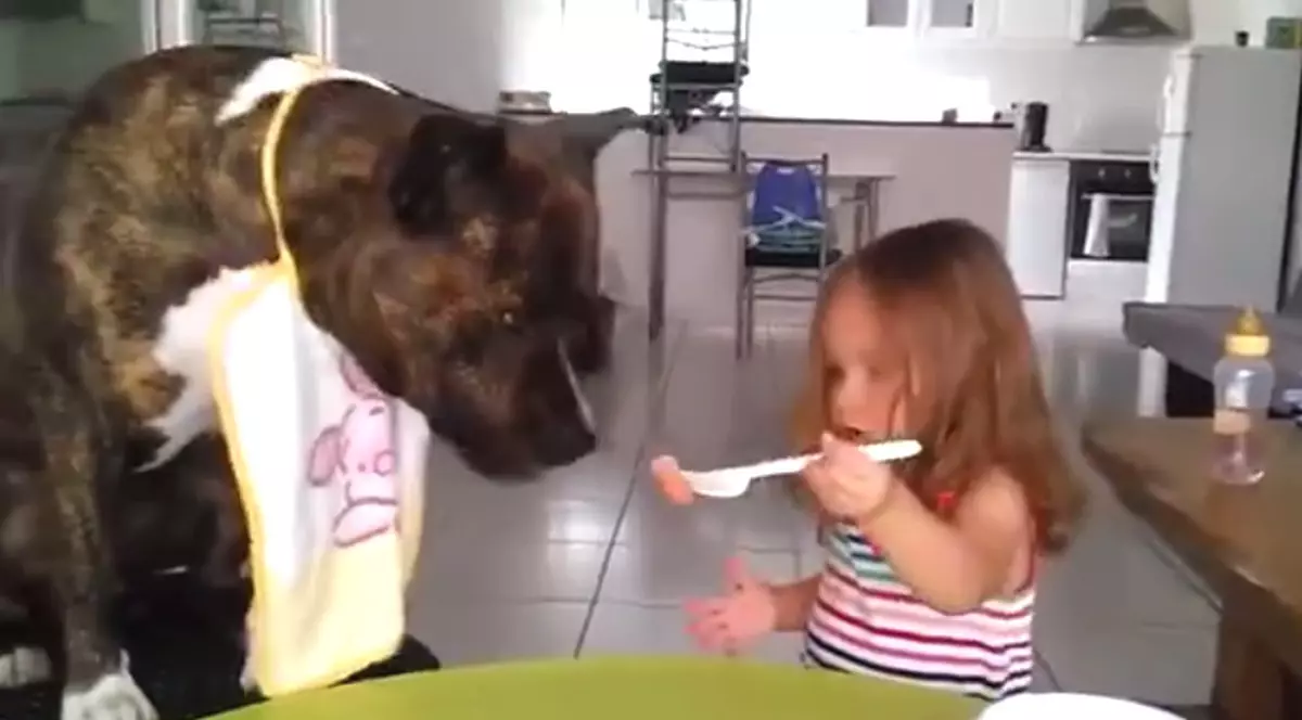 Clipul care TE VA ÎNDUIOȘA! Cum își hrănește o fetiță cățelul | VIDEO