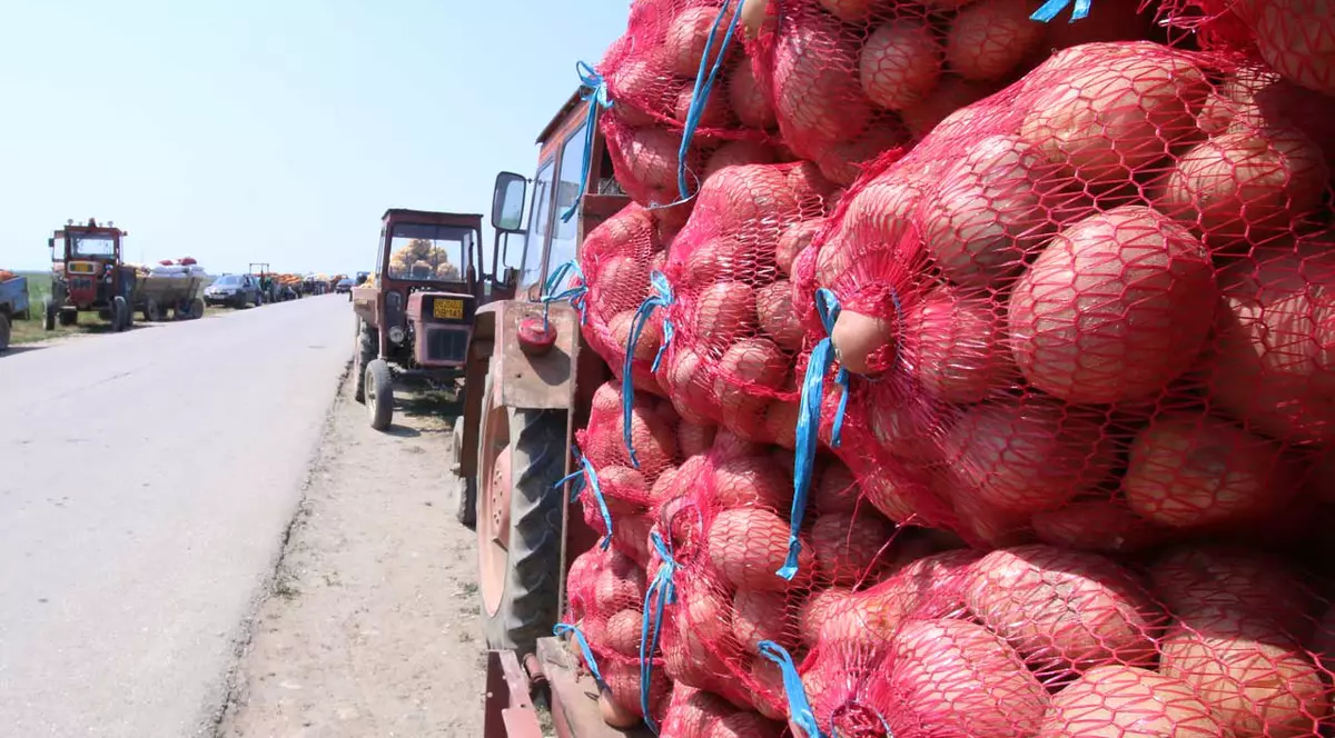 Ministrul agriculturii a dat asigurări că există stocuri suficiente de alimente, chiar dacă seceta a lovit Moldova și sudul țării