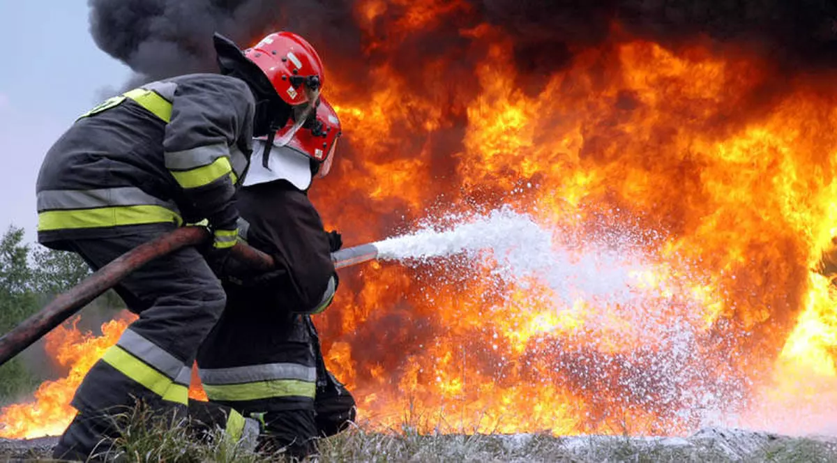 Două femei din Hunedoara au vrut să facă un grătar și au incendiat opt hectare de pădure