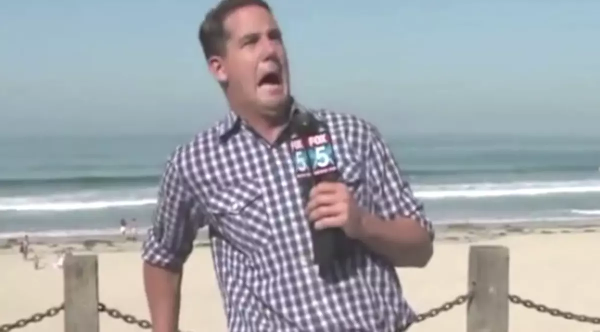 Un reporter este ATACAT, în direct, de o insectă! Reacția lui este DEMENȚIALĂ | VIDEO