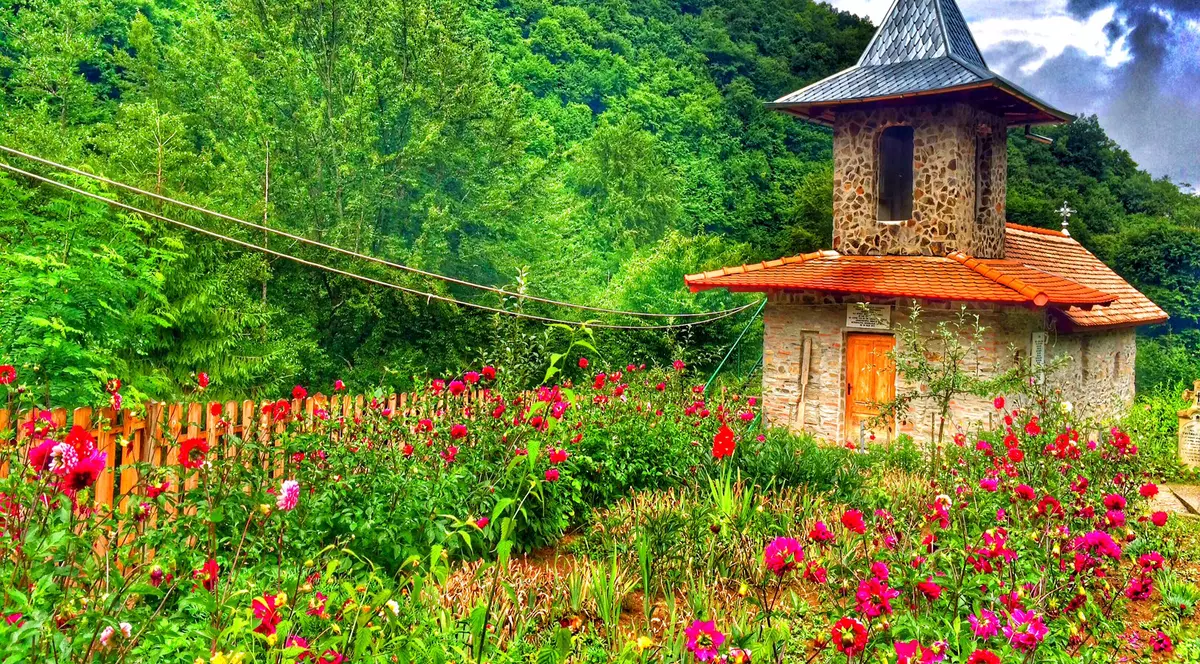 Un brazilian ne face patriotismul KO: ”În timp ce românii visează să plece, eu visez că mă voi reîntoarce cândva”