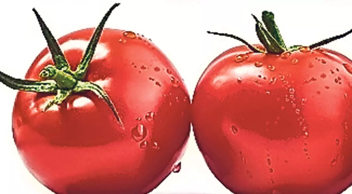 Sunt roşiile cu ţugui cancerigene sau nu? 8 mituri alimentare foarte actuale