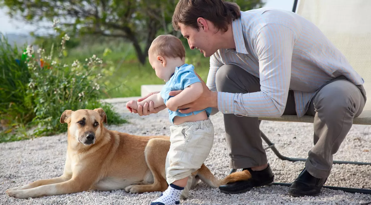Te-ai decis: îţi iei un câine! Iată de ce trebuie să ţii cont, ca să faci alegerea cea mai bună