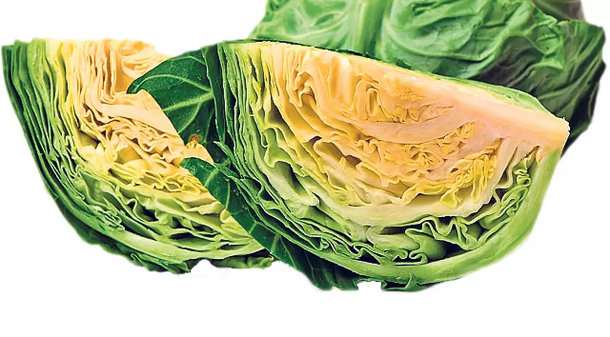 TRUCURI | Supa de varză «topeşte» kilogramele în plus