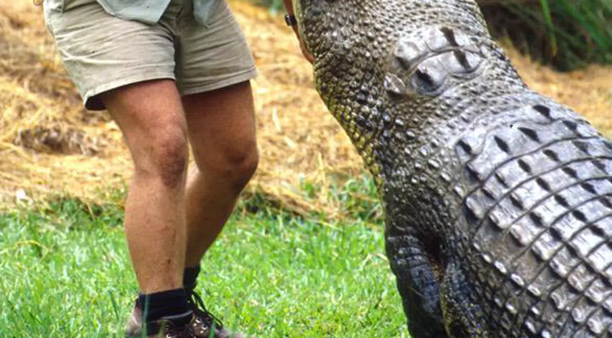 Ce frumoasă e fata "neînfricatului" Steve Irwin. Tânăra are 17 ani şi îi calcă pe urme regretatului ei tată