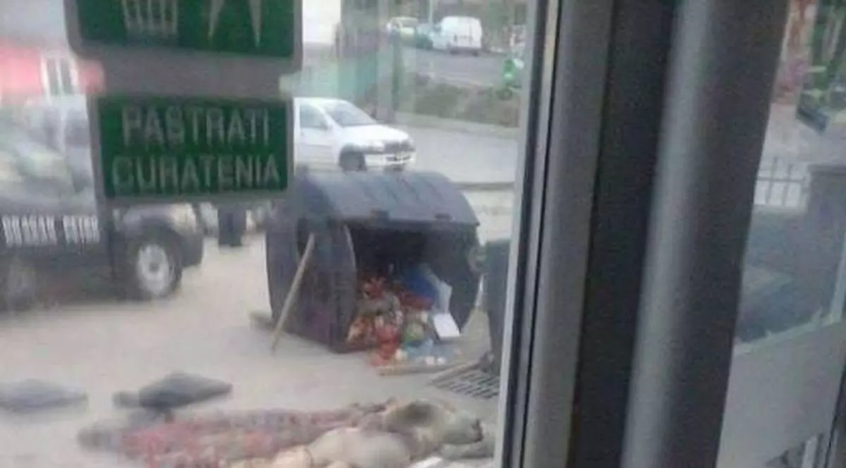 Ce s-a întâmplat cu fosta profesoară care și-a tranșat soțul