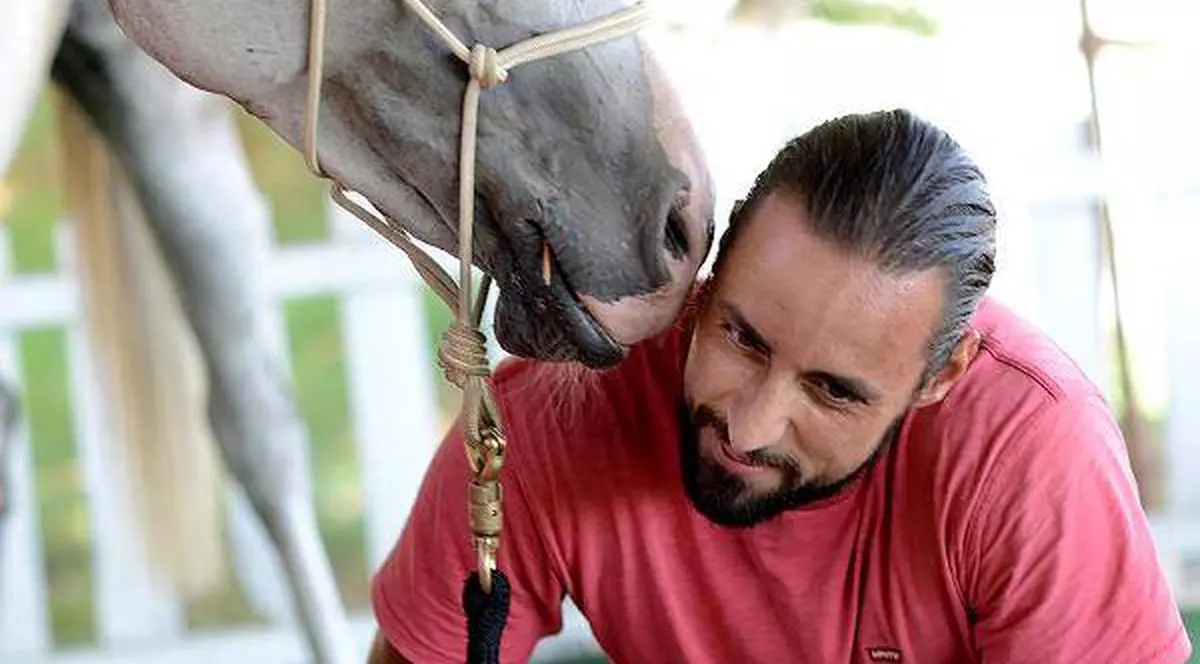 Denis Ștefan îşi arată veleităţile de călăreţ în cadrul unui spectacol sportiv