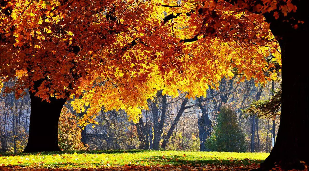 23 septembrie, ECHINOCȚIUL de TOAMNĂ 2015. Cum ne influențează