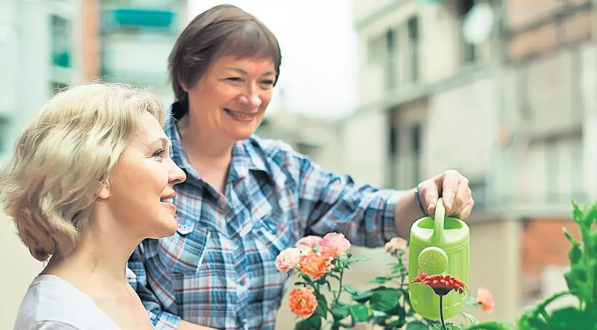 Pregătiri de toamnă, pe balcon. Ce aşteaptă plantele de la tine, ca să le meargă bine