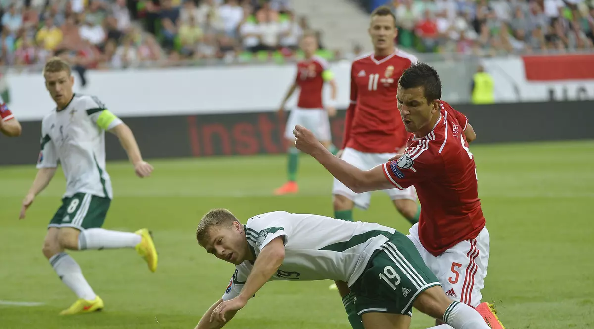PRELIMINARII EURO 2016. Ungurii au scăpat victoria în ultimul minut. REZULTATE