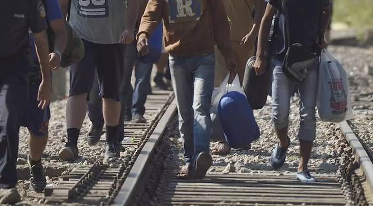 16 imigranți clandestini au fost găsiți în Marea Britanie, la bordul unui camion care provenea din România