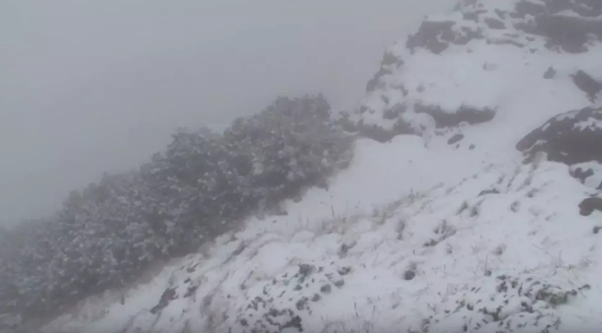 PRIMII FULGI DE NEA! Vezi cum a nins în Ceahlău | VIDEO