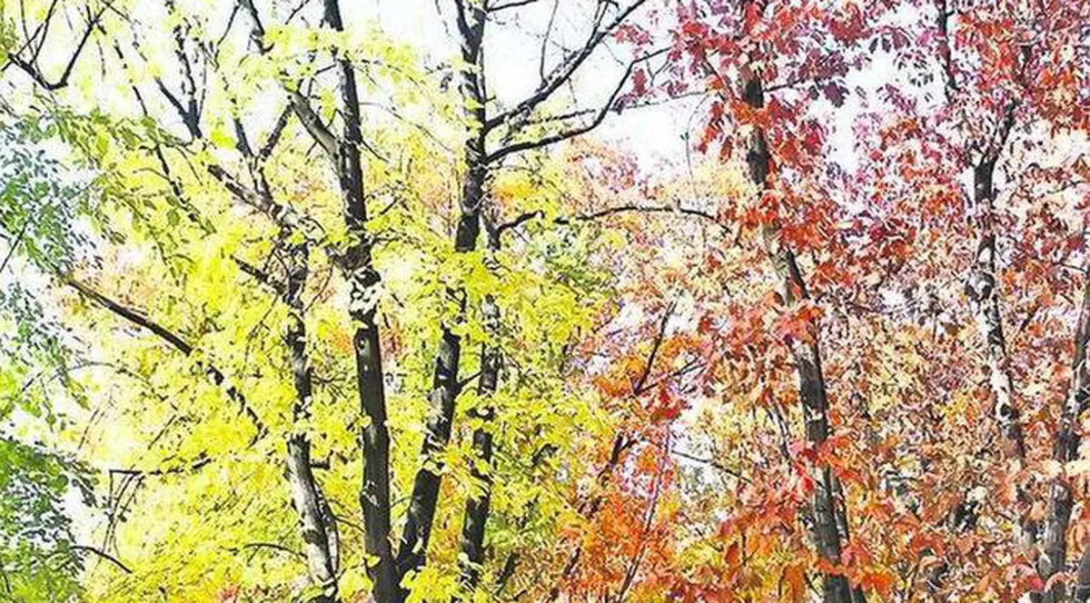 PROGNOZA METEO. Vreme CANICULARĂ și disconfort termic în acest sfârșit de săptămână