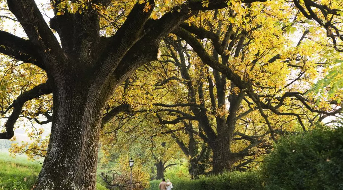 Temperaturi de până la 34 de grade! Vezi prognoza meteo pe două săptămâni