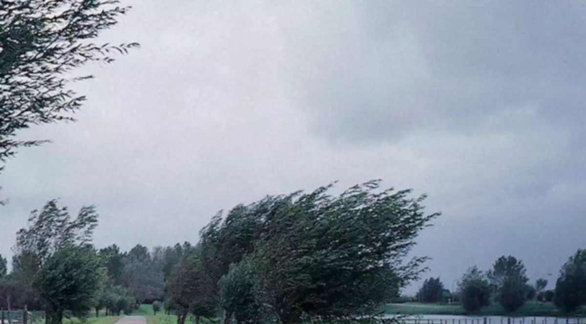 UPDATE | AVERTIZARE meteo: ploi, vijelii și grindină. Care sunt zonele afectate