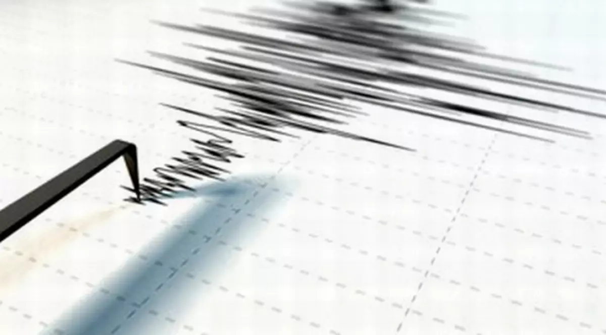 Cutremur în Vrancea, dumincă seara! E al doilea produs într-o singură zi, în România