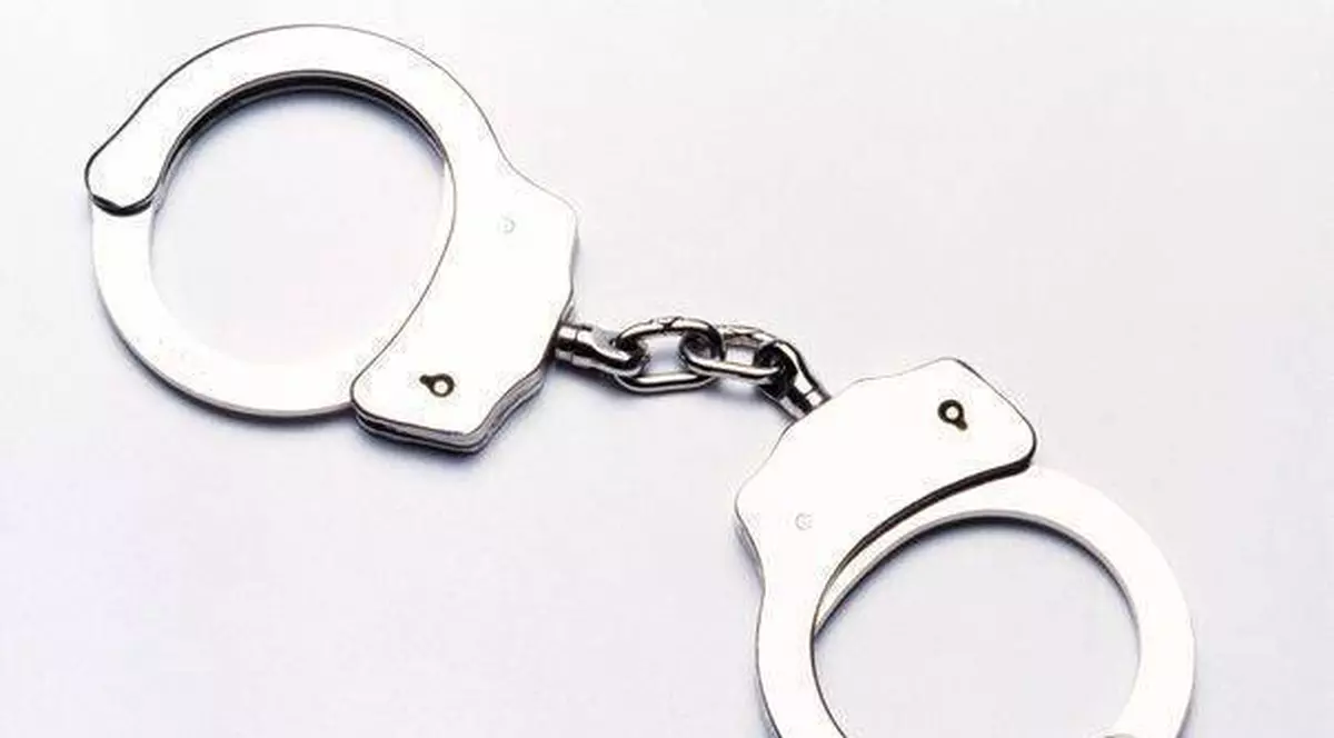 Condamnări de ultimă oră în dosarul "prostituate pentru VIP-uri"!