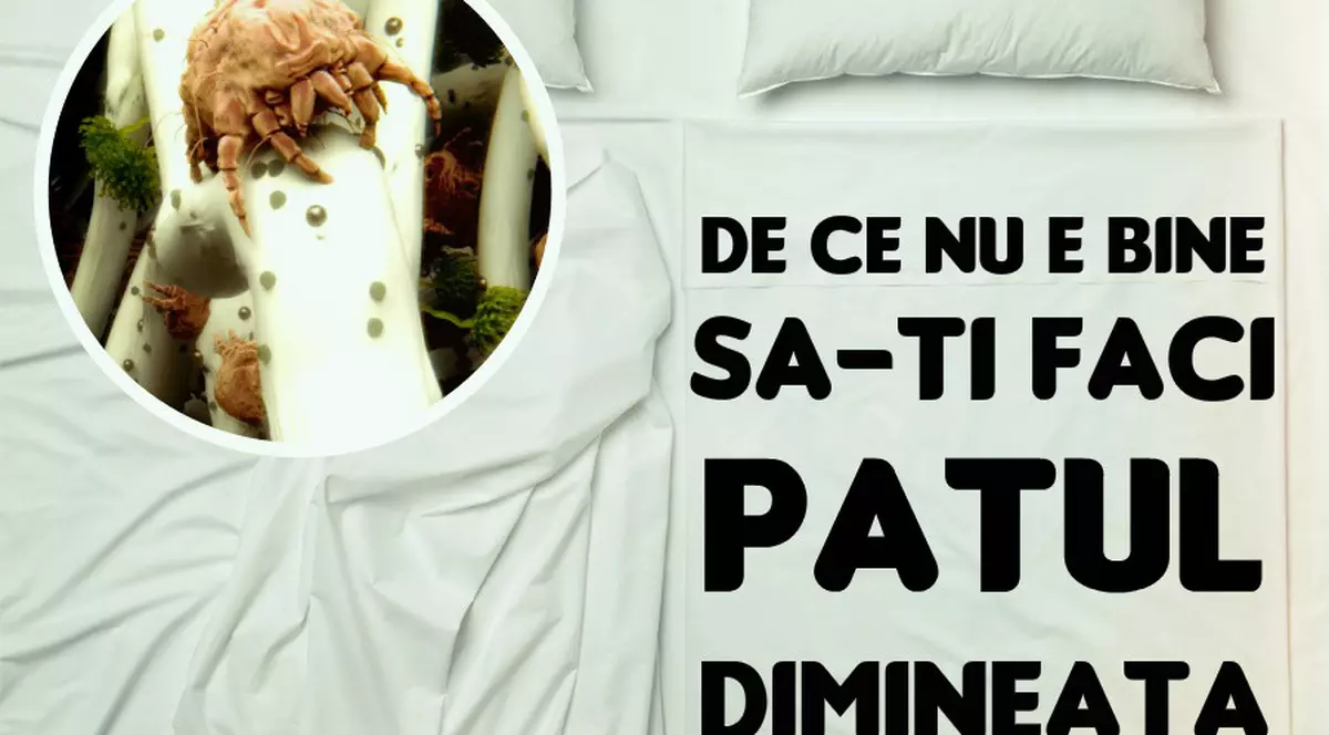 De ce nu ar trebui sa îţi faci patul niciodată