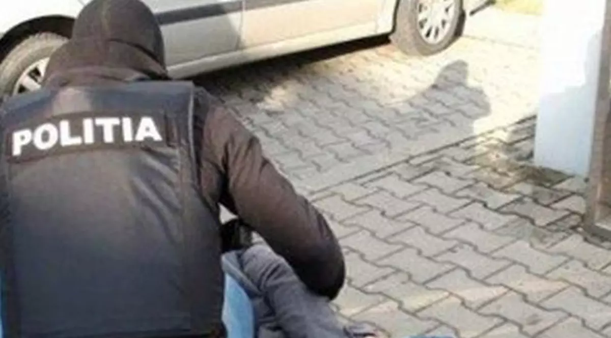 Pedepse grele pentru hoții de lemne