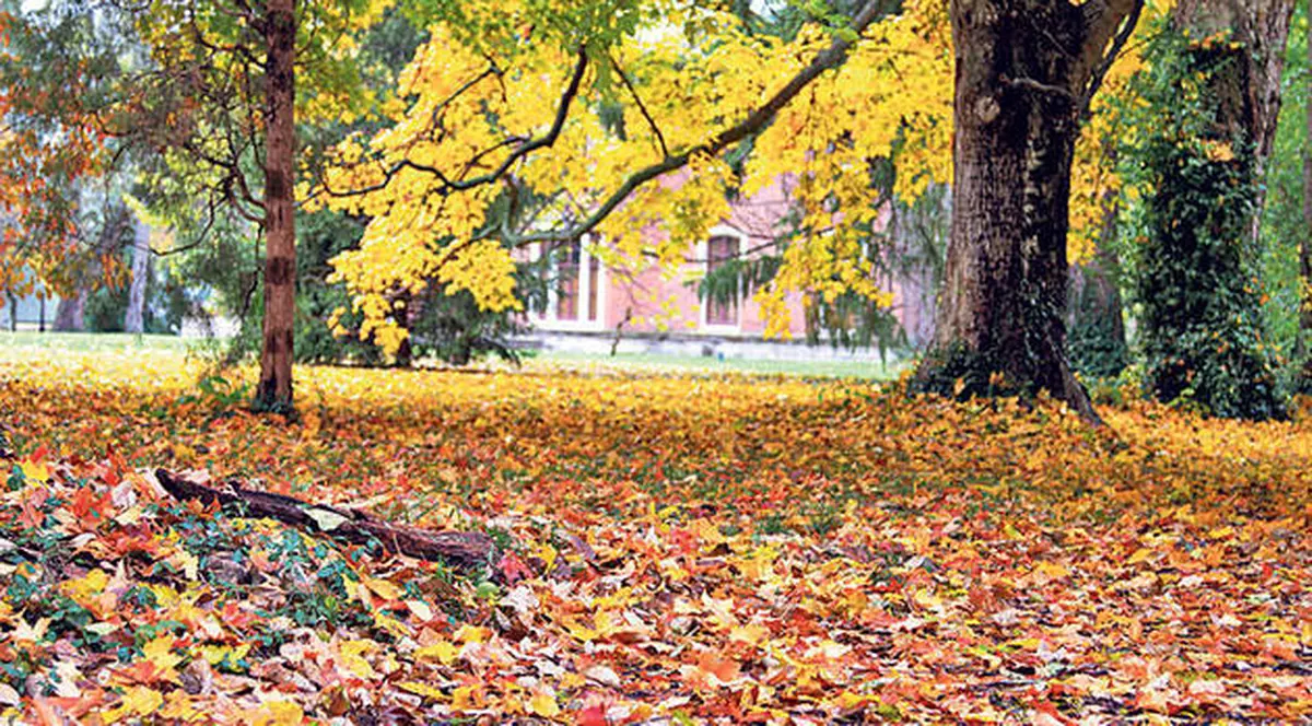 PROGNOZA METEO actualizată. Cum va fi VREMEA în weekend