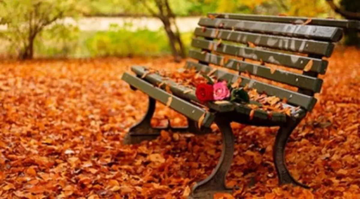 PROGNOZA METEO | Cum va fi vremea la începutul săptămânii viitoare