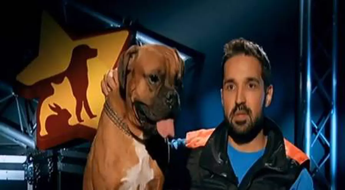 De necrezut! Tudy a participat la un concurs de talente cu un câine furat de la fosta iubită