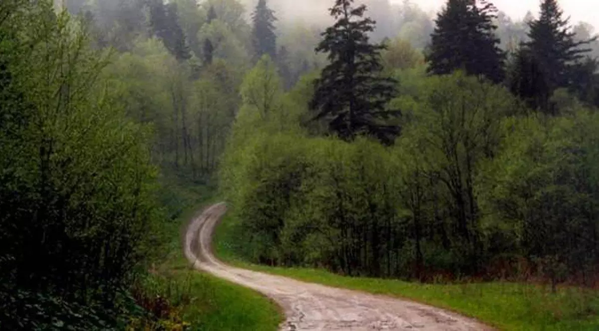 TRAGEDIA din Vrancea. Dosar penal pentru ucidere din culpă în cazul celor patru persoane găsite moarte în pădure