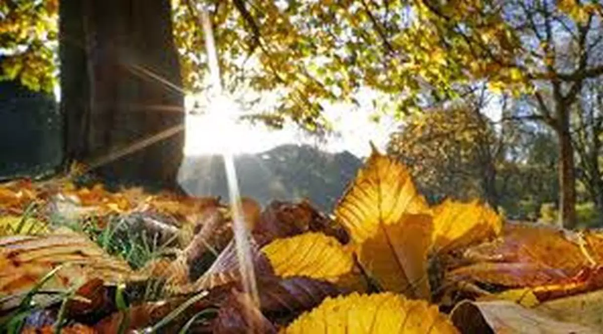 Prognoza meteo. Săptămâna începe cu temperaturi de aproape 20 de grade