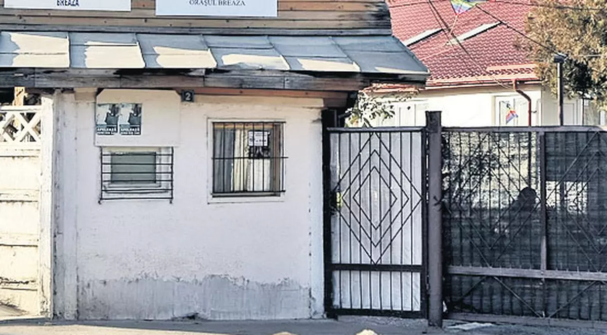 Căţeii din Petroşani sunt «exportaţi» către familii adoptive