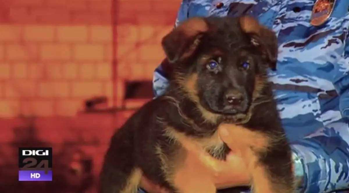 Rusia trimite Franței cel mai neașteptat și mai drăgălaș cadou, după atentatele de la Paris