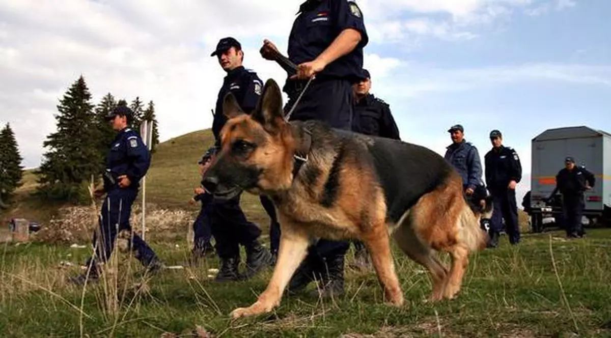 Copil de doi ani dispărut la Suceava
