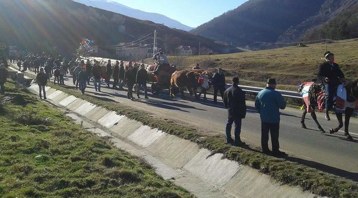 Cetele de juni încep colindatul în noiembrie și mai termină după Crăciun