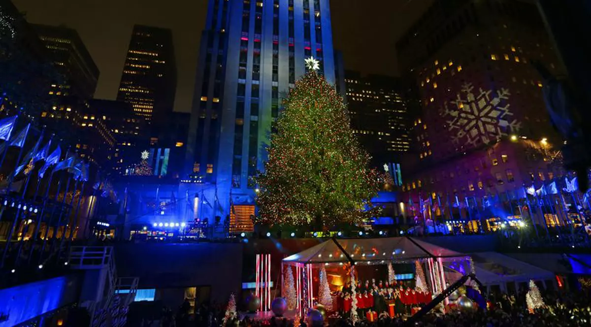 E acesta CEL MAI FRUMOS BRAD DE CRĂCIUN? | VIDEO