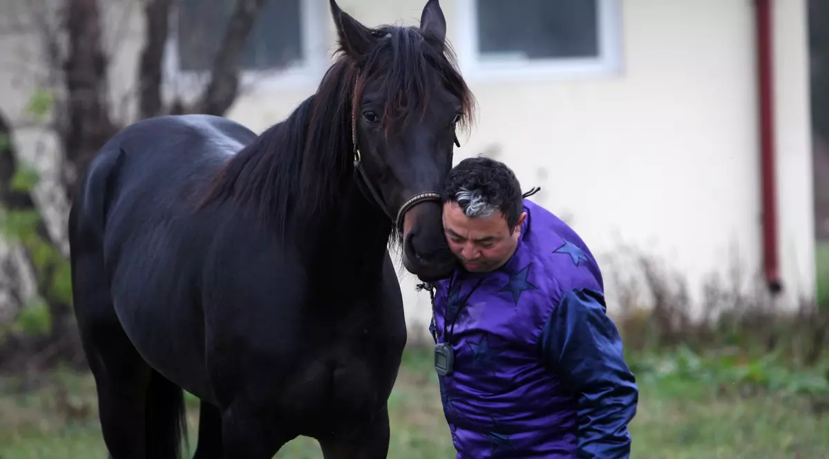 Vijelie a câștigat “Derby-ul de Trap” de la Mangalia. Povestea murgului
