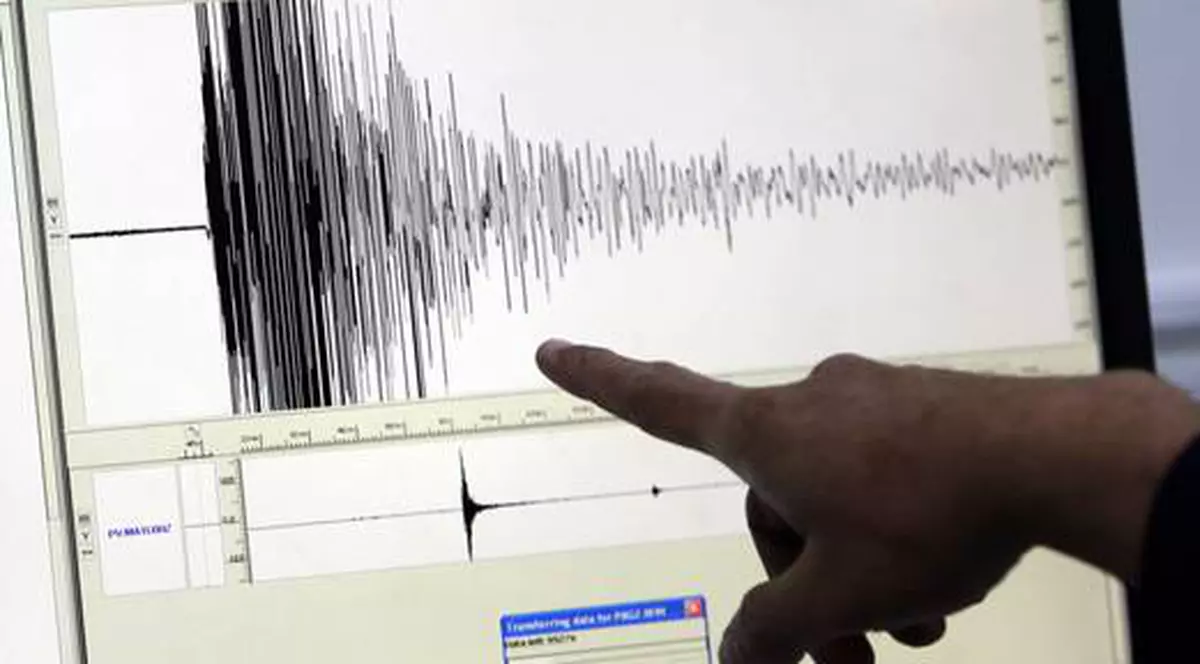 Două cutremure s-au produs în Vrancea, vineri. Cel mai însemnat a avut magnitudine peste 3 pe Richter