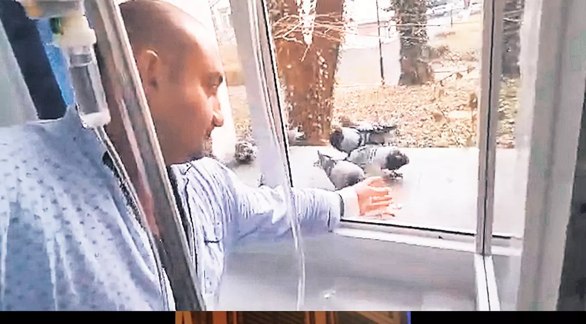 Showman în perfuzii | Gabriel Jugaru a fugit din spital pentru un spectacol