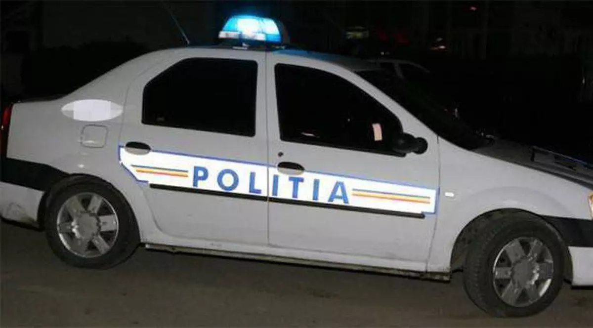 Accident în Argeş. Un tir s-a răsturnat în curtea unei case. Șoferul a fugit de la faţa locului