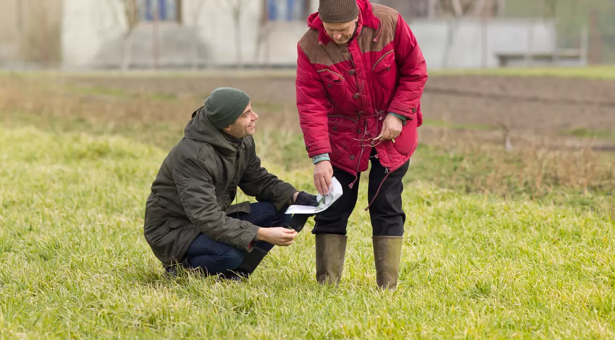Află când primești subvențiile agricole! Bâlbâielile de la APIA au încetat, dar termenul de plată s-a încheiat