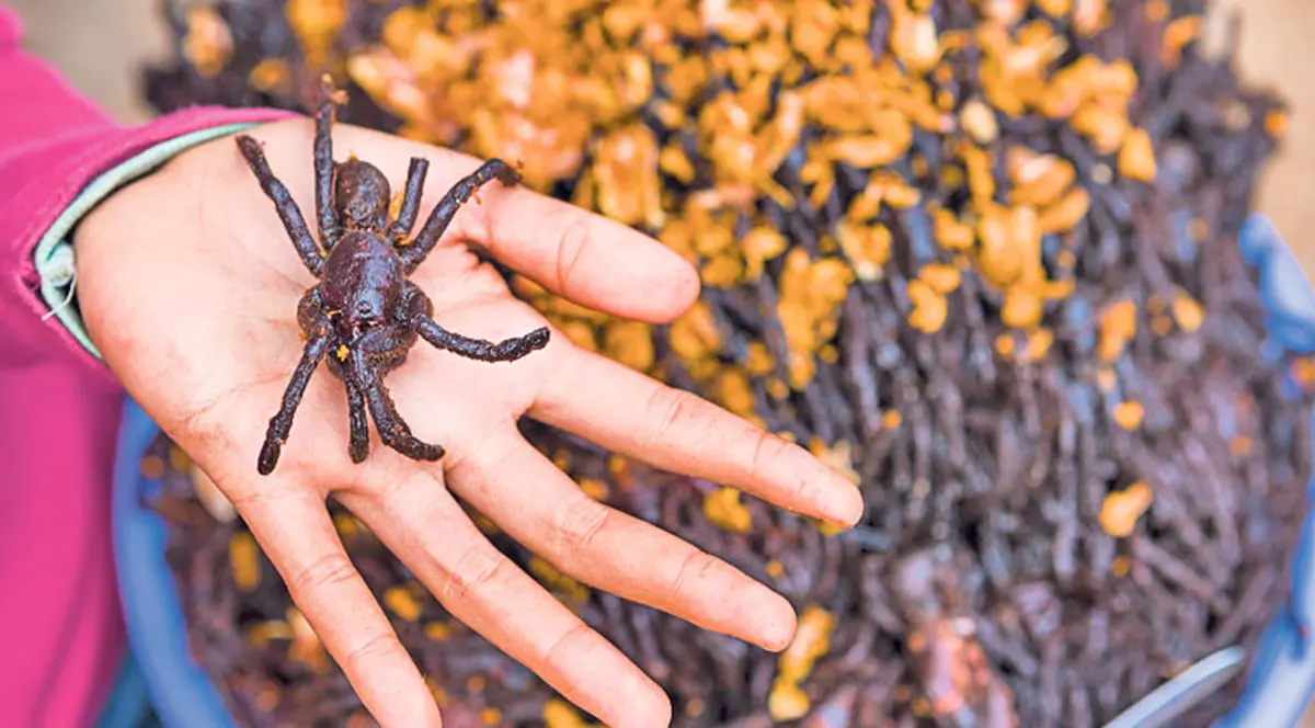 Te-ai încumeta să guşti aşa ceva? Astea sunt cele mai ciudate mâncăruri de pe Pământ!