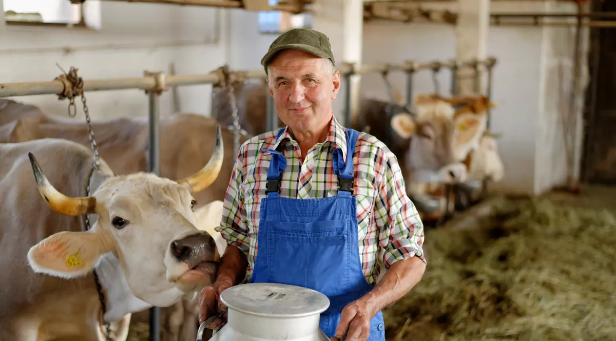 Ai animale în gospodărie? Află dacă trebuie să plătești impozit pe venit!