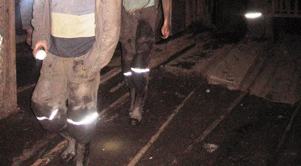 Șefii şi-au dat prime înainte de insolvenţă! Minerii vor grevă generală pentru că au dispărut veniturile Complexului Energetic Hunedoara, iar ei ajung pe drumuri