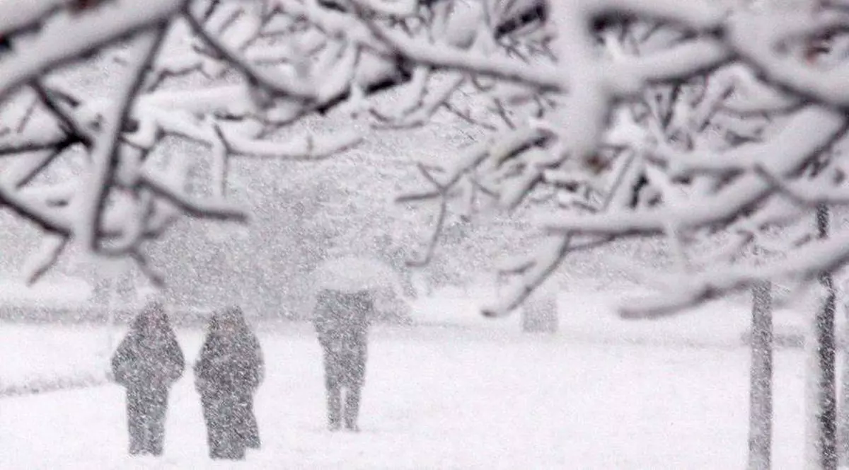 cea mai geroasa dimineata