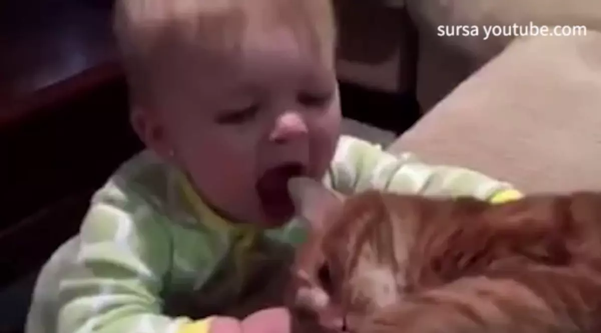 O fetiță a înduioșat internetul cu iubirea pentru pisică! Ar mânca-o dac-ar putea | VIDEO ADORABIL