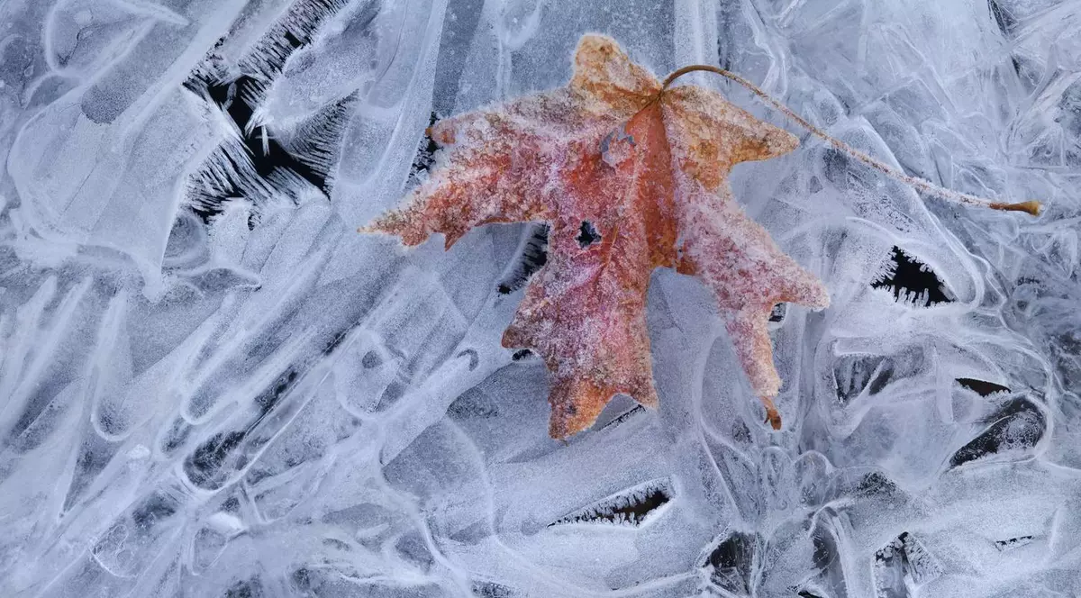 COD GALBEN DE GER. Avertismentul dat de meteorologi: "Vor fi -25 de grade"