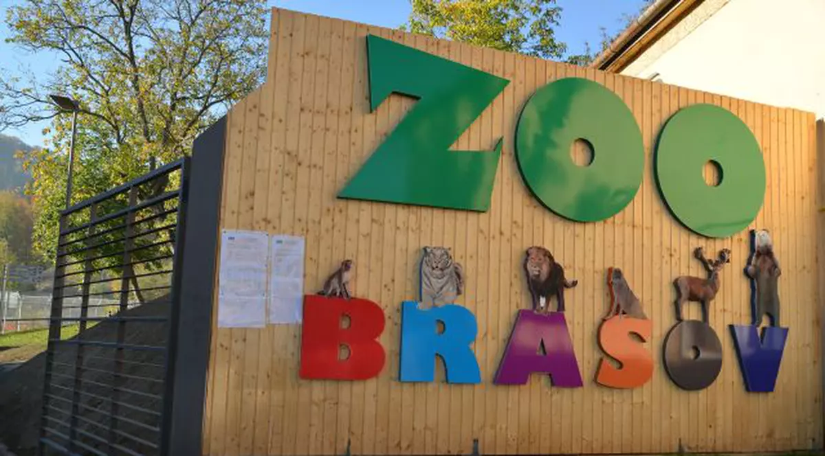 Pinguini şi foci gri la ZOO Braşov