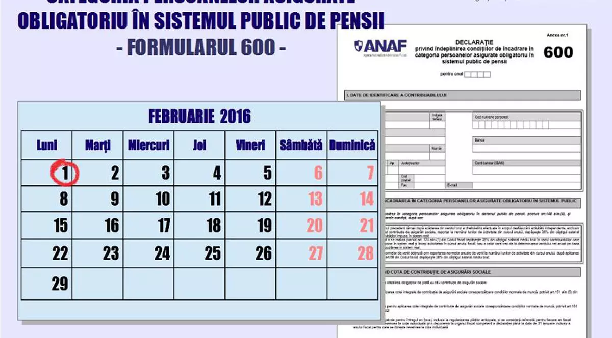 Microintreprindere sau PFA ? Astăzi este ULTIMA ZI pentru depunerea mai multor declaraţii la Fisc