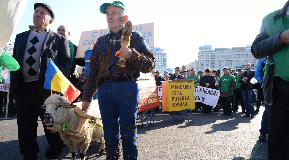 Și fermierii susțin echipa națională. 300 de agricultori români, în tribune la CE 2016