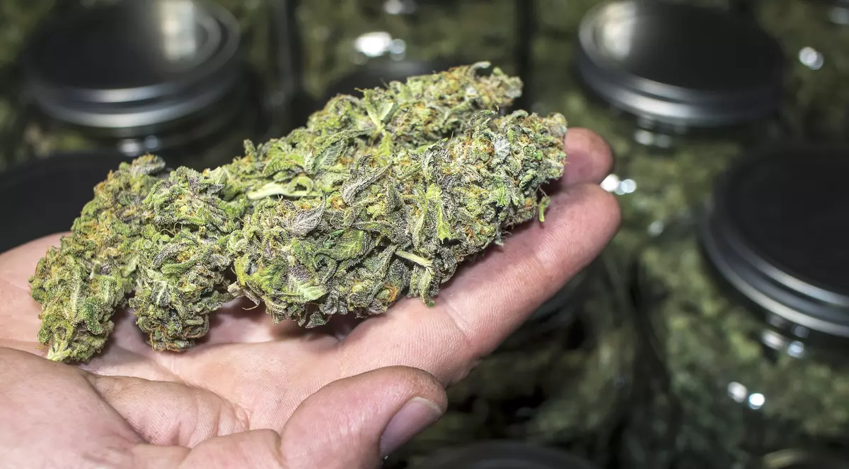 Traficanți de droguri din București, prinși în timp ce ridicau un colet de 4 kg de canabis