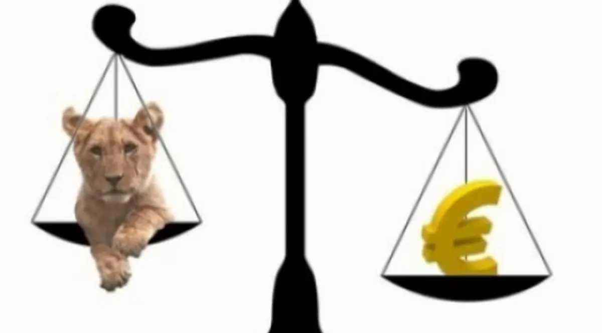 Este cea mai bună lună pentru moneda românească din ultimii ani. Cursul anunțat astăzi de BNR