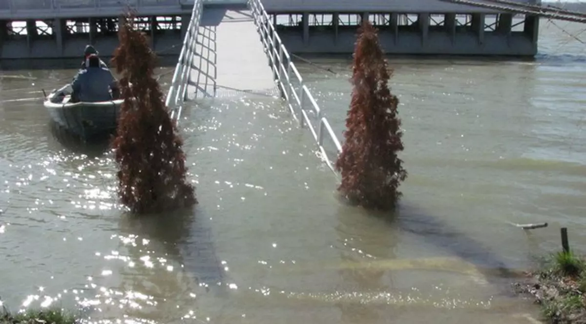 VIN PUHOAIELE? Amenințarea Dunării: va fi în creștere, iar digurile pot ceda!